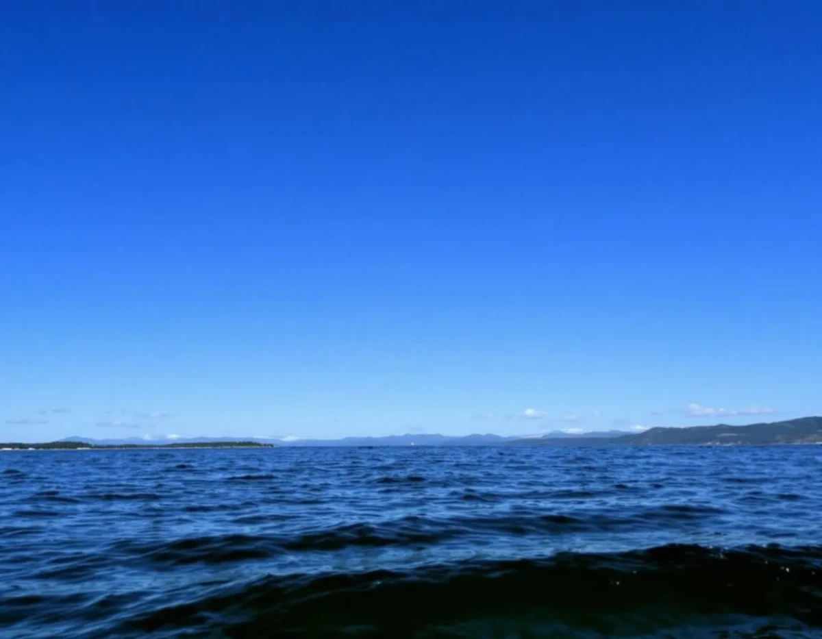La Responsabilité Juridique Face à la Destruction des Habitats Aquatiques : Enjeux et Perspectives